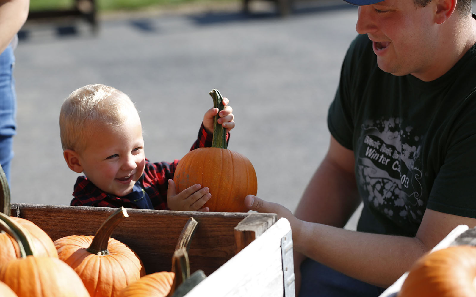 Smith's Orchard